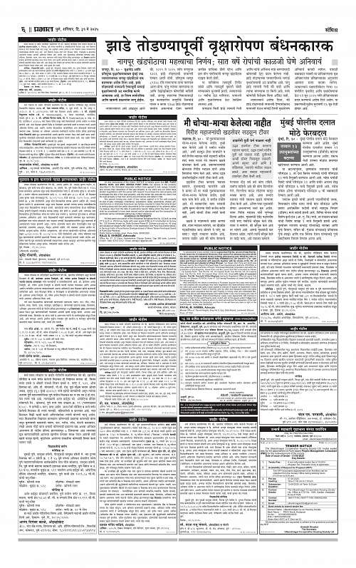City  31 may 2025_006